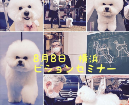 8/8 横浜・元町中華街ビションセミナー　＠Dog’s Barber shop Bears