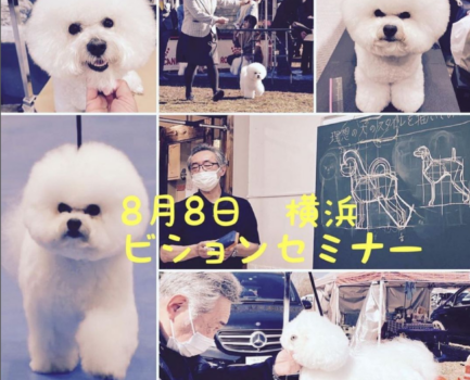 8/8 横浜・元町中華街ビションセミナー　＠Dog’s Barber shop Bears